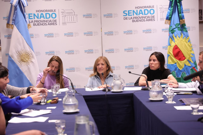 La Provincia busca regular el trabajo en aplicaciones: qué cambios propone el proyecto